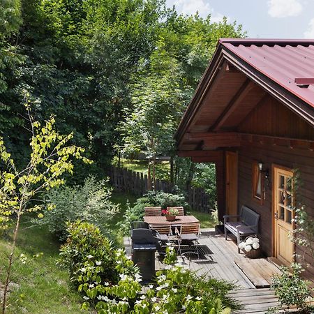 Ferienhaeuser Gerhart Haus im Ennstal Bagian luar foto