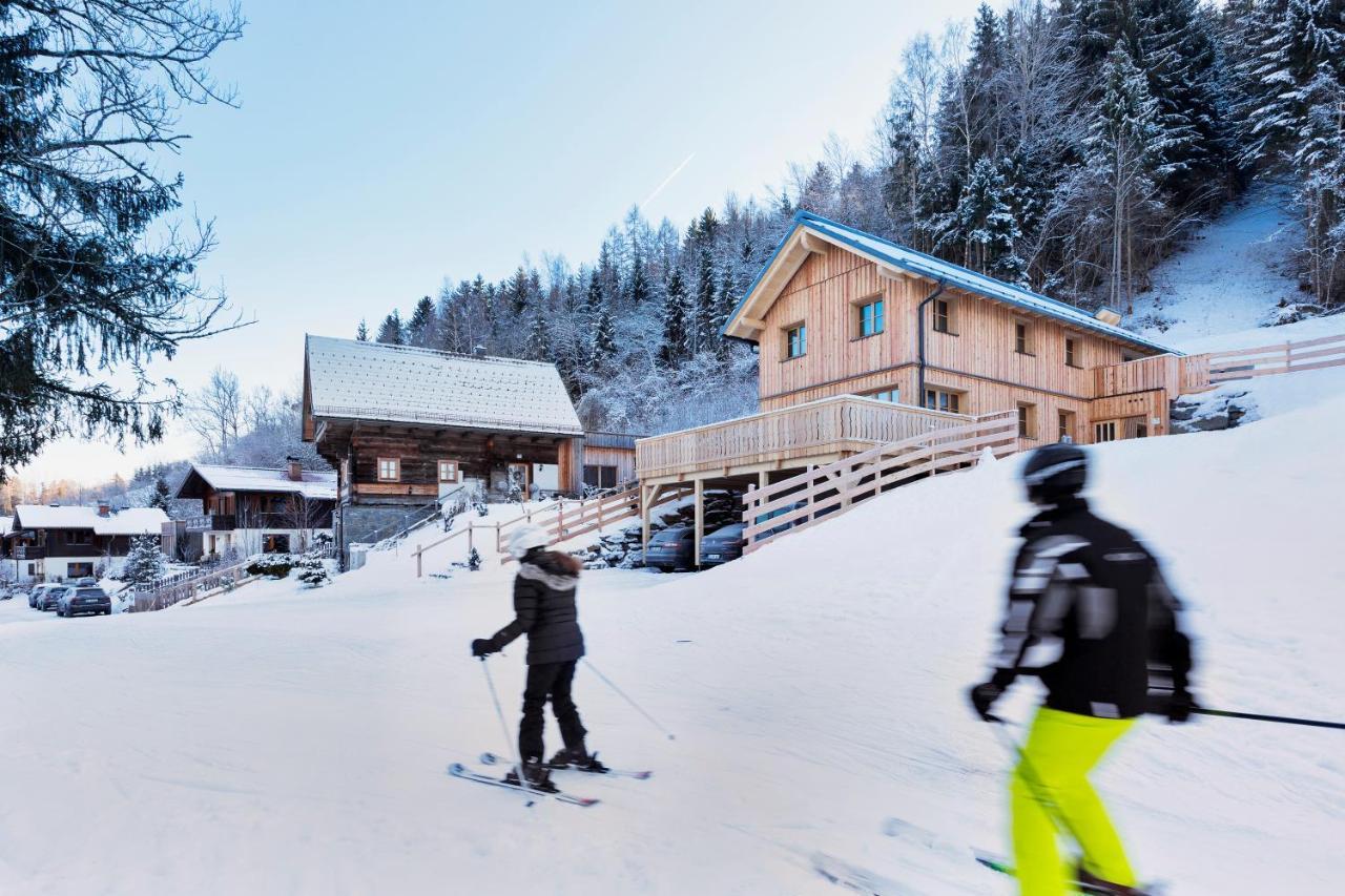 Ferienhaeuser Gerhart Haus im Ennstal Bagian luar foto