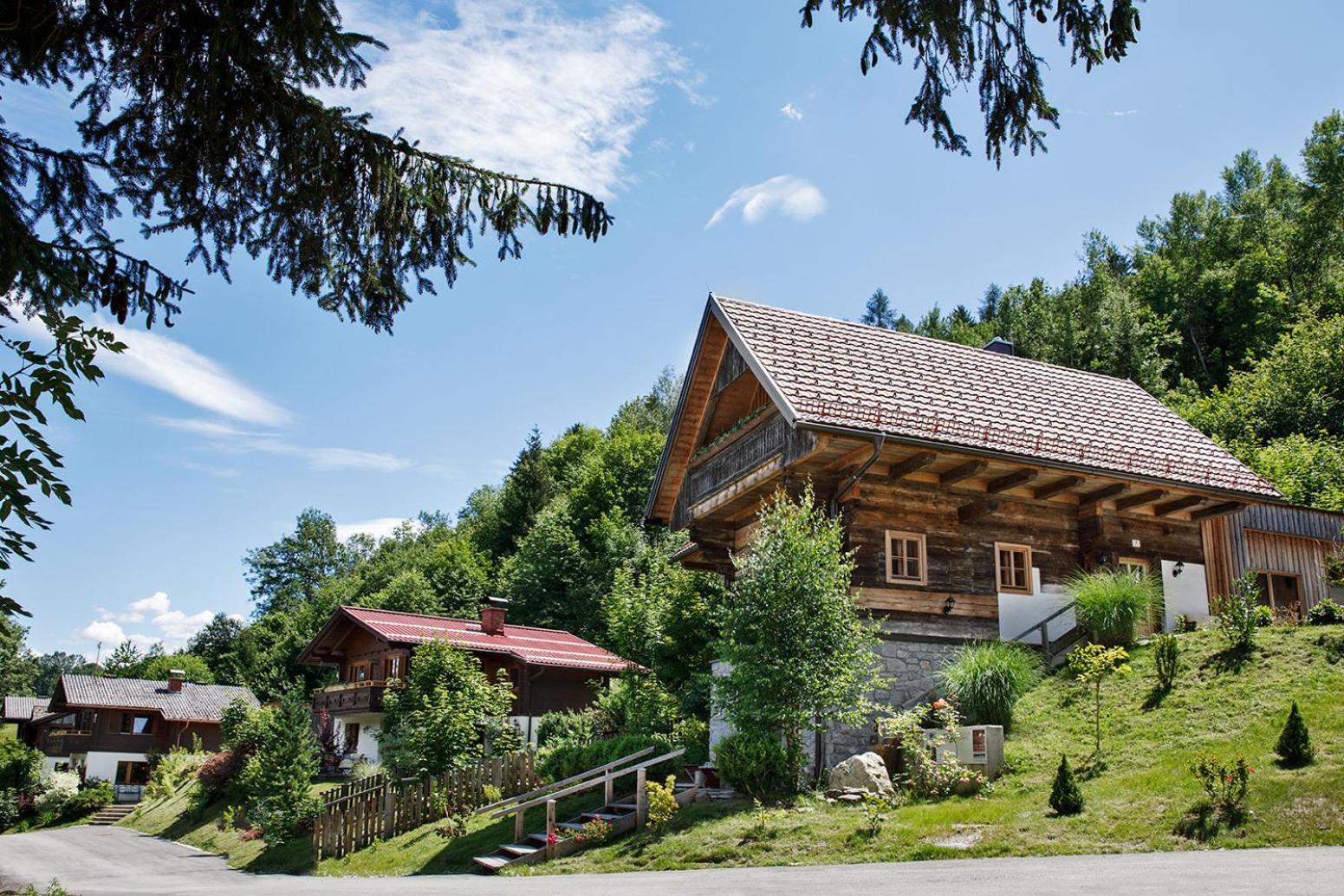 Ferienhaeuser Gerhart Haus im Ennstal Bagian luar foto